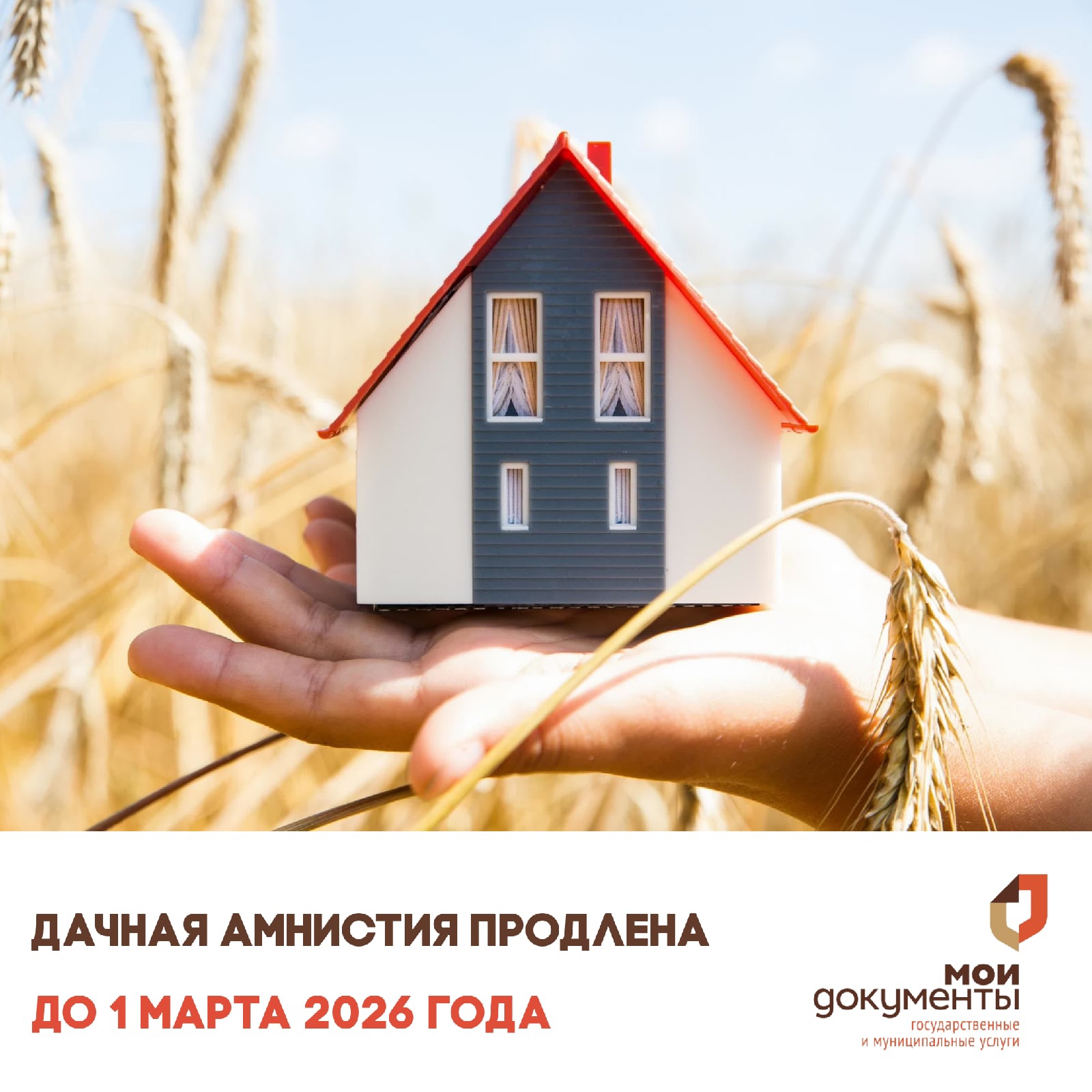 Дачная амнистия, срок действия которой должен был истечь этой весной, продлена до 1 марта 2026 года