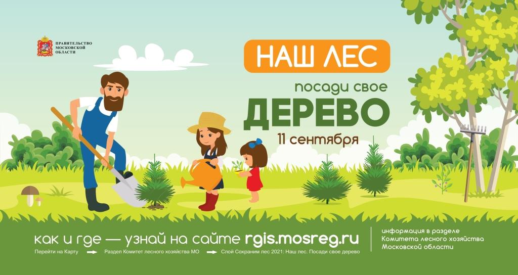 Посади свое дерево!